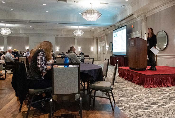 Description for Image 1